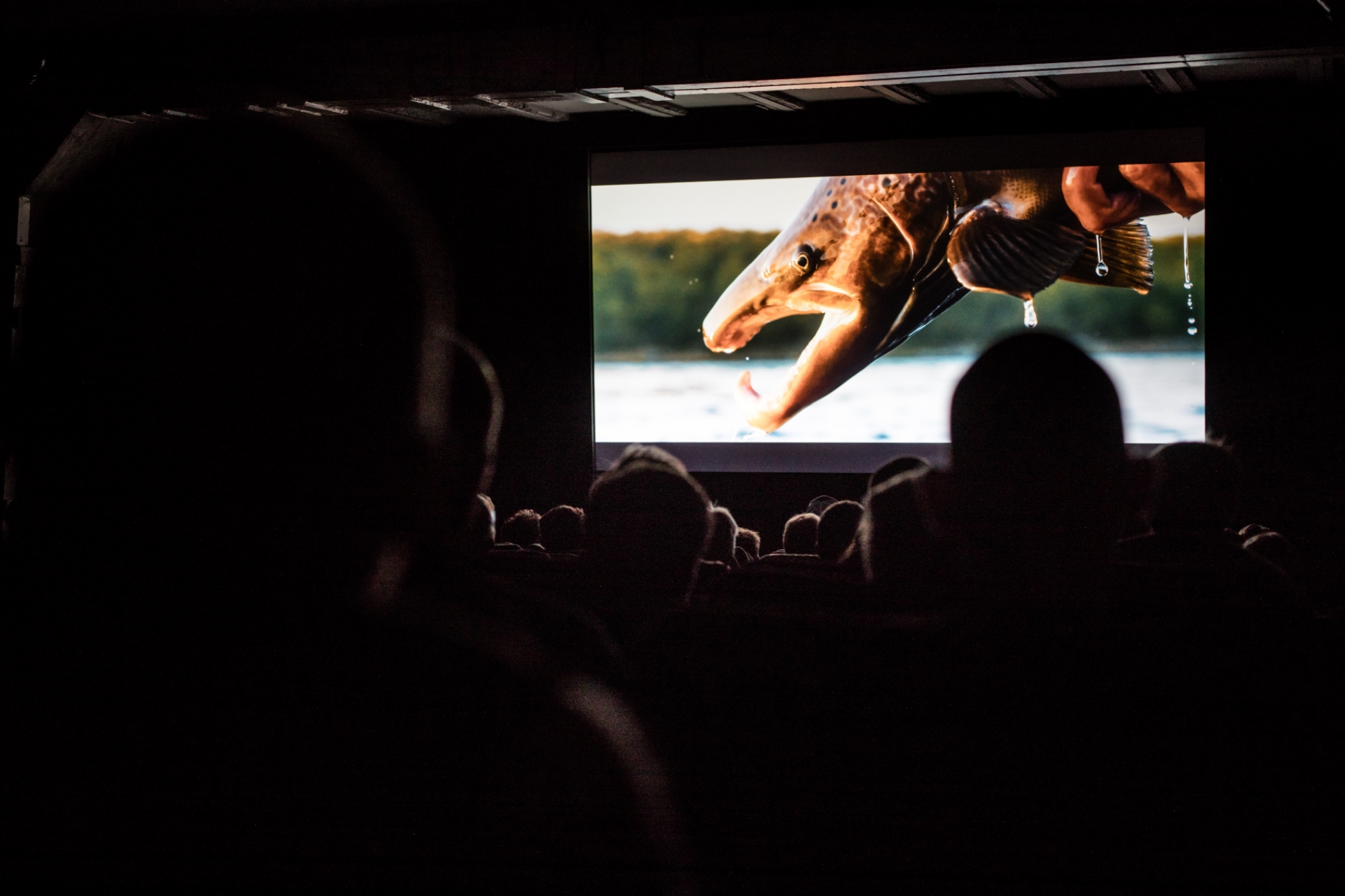 RISEFlyFishingFilmFestival2019.jpg