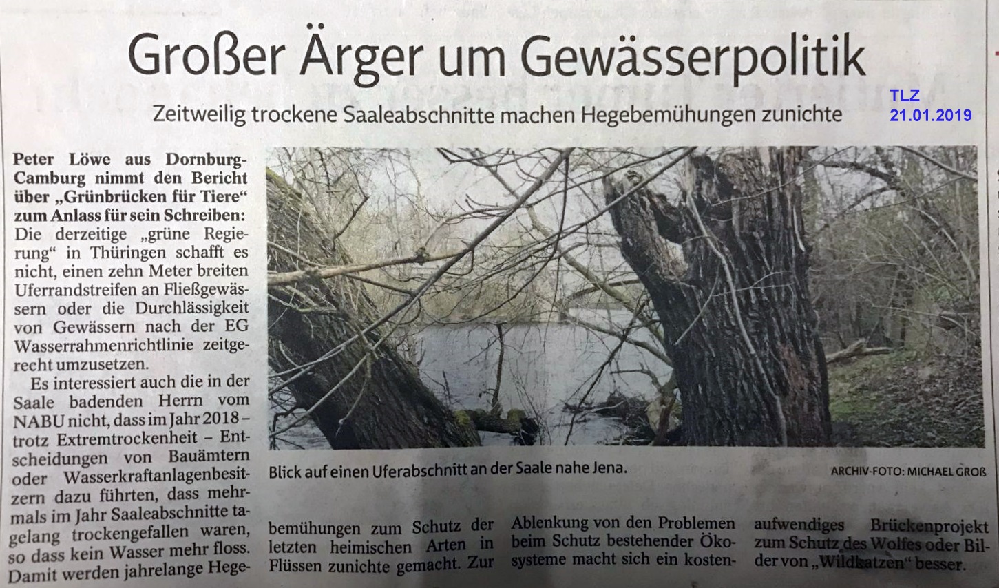 tlz_2019-01-21.jpg